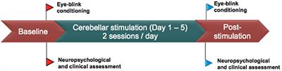 Cognitive Impact of Cerebellar Non-invasive Stimulation in a Patient With Schizophrenia